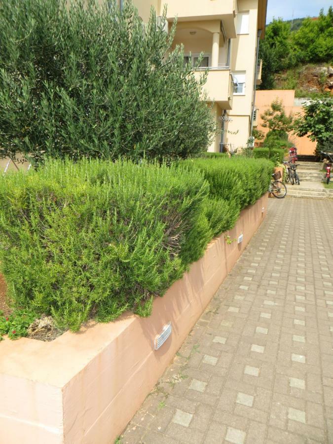 Apartman Mario Cres Exterior photo